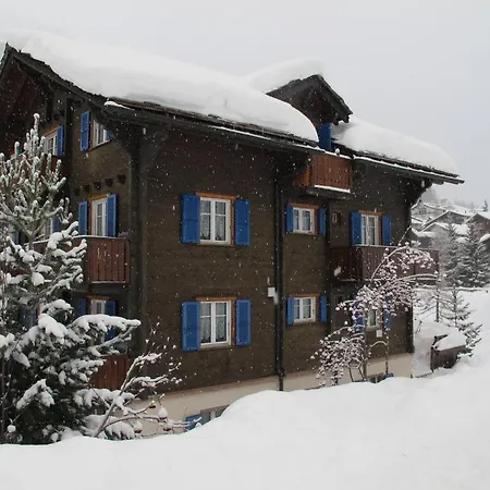 Dorfblick Daire *