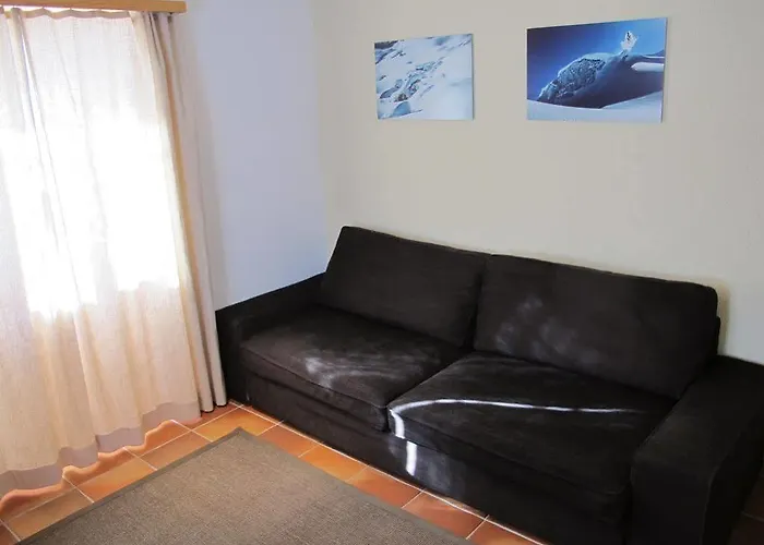 公寓 Dorfblick 萨斯费